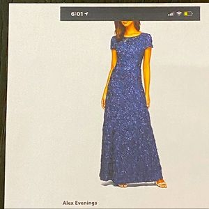 Alex Evenings Shimmer Gown